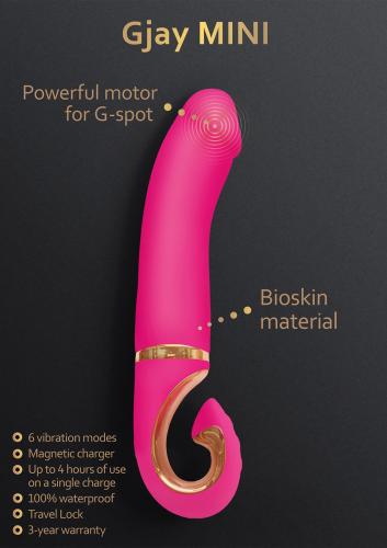 Gvibe Gjay Mini Image 3