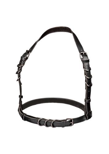 CalExotics Halter Buckle Harness Plus