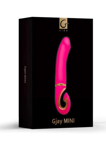 Gvibe Gjay Mini Image 1