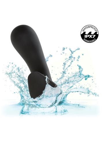 Image de la sonde CalExotics Rock Bottom