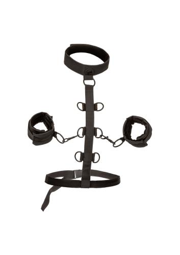 CalExotics Boundless Collar Restraint